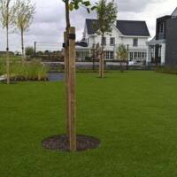 Villatuin met bomen in het kunstgras